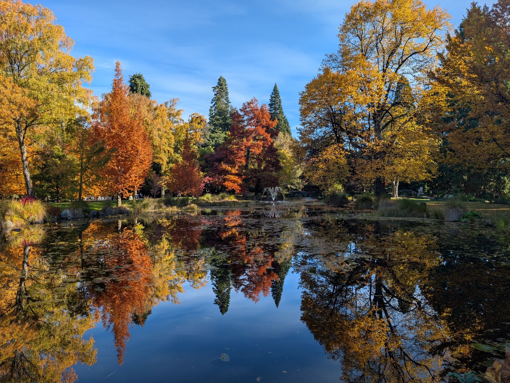 Autumn trees reflected in the Queenstown Gardens pond